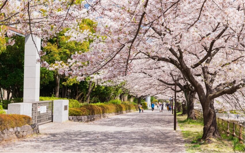 豊富な合格実績